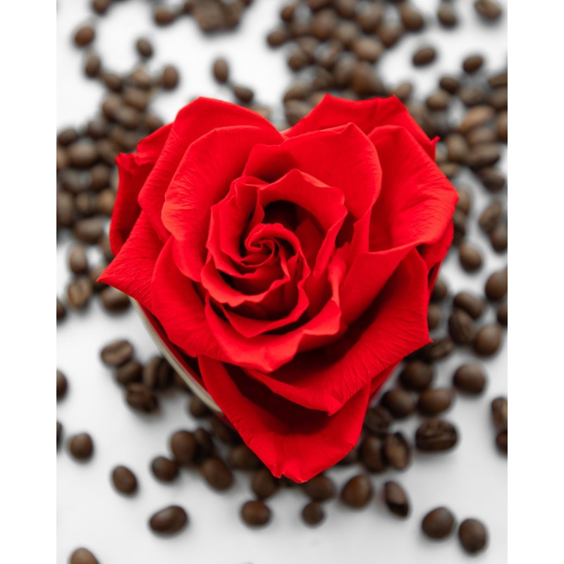 🍓🌹Caja Corazón de 30 Rosas - Fruit Santé